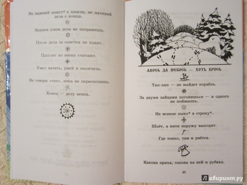 Иллюстрация 17 из 42 для Волшебный короб: Старинные русские пословицы, поговорки, загадки | Лабиринт - книги. Источник: ЮлияО