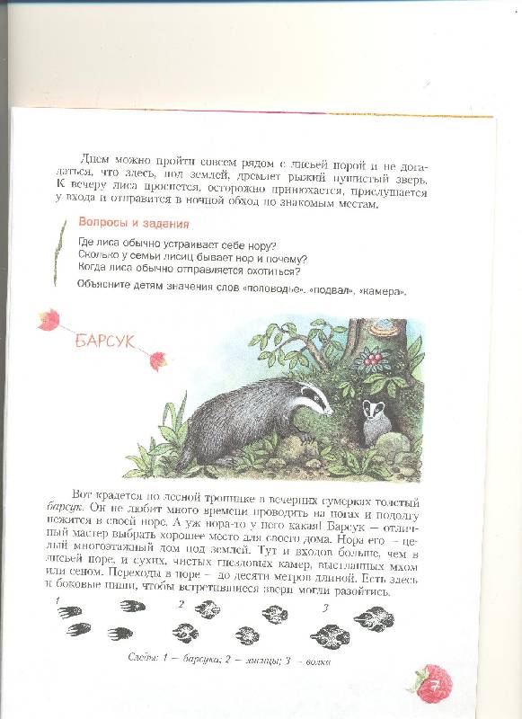 Иллюстрация 36 из 38 для Кто в лесной норе живет?: книга для чтения детям - Александр Тамбиев | Лабиринт - книги. Источник: Nchk