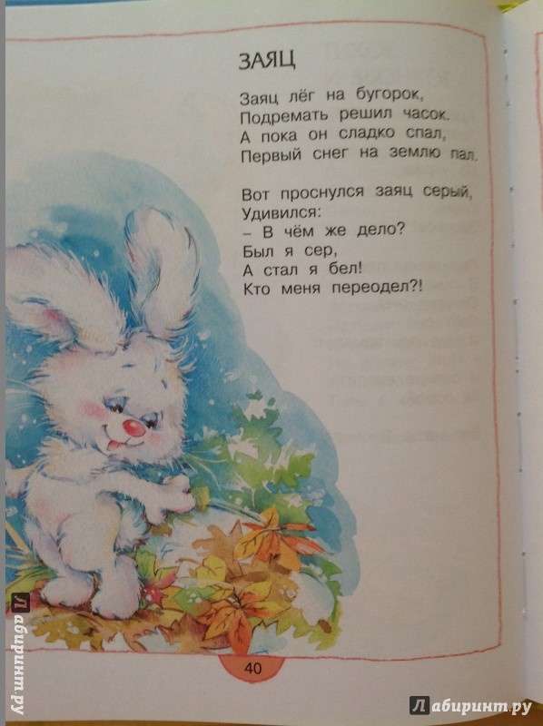 Иллюстрация 26 из 36 для Жили-были пони - Ирина Пивоварова | Лабиринт - книги. Источник: Nadezhda  Marchenko