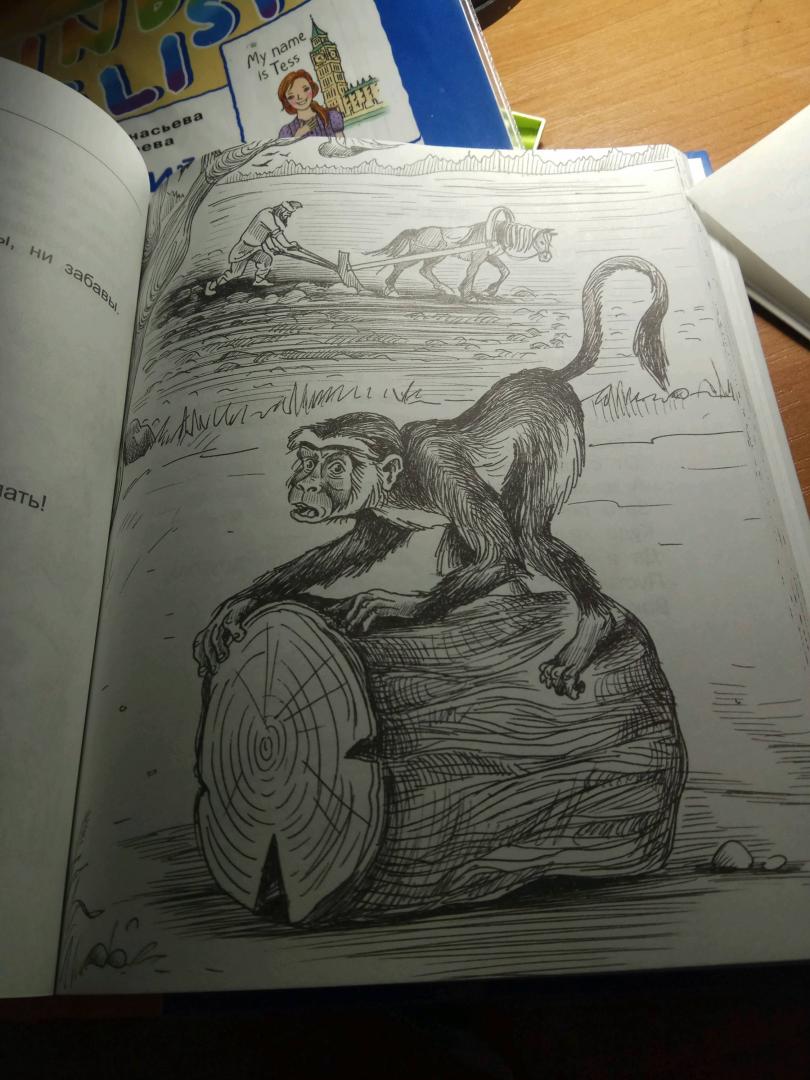 Иллюстрация 44 из 63 для Басни - Иван Крылов | Лабиринт - книги. Источник: козловская елена