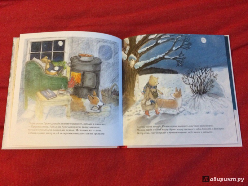 Иллюстрация 34 из 54 для Зима мишки Бруно - Гунилла Ингвес | Лабиринт - книги. Источник: Сан Санна