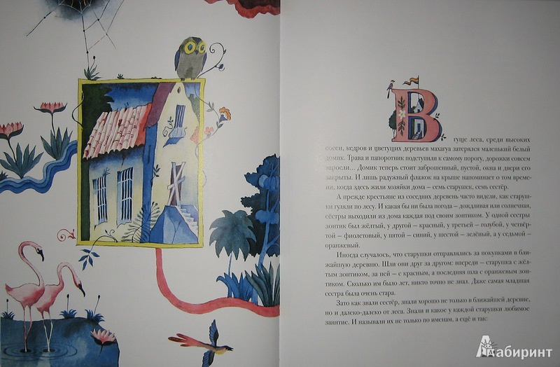 Иллюстрация 19 из 31 для Старушки с зонтиками - Лопес Кофиньо | Лабиринт - книги. Источник: Трухина Ирина