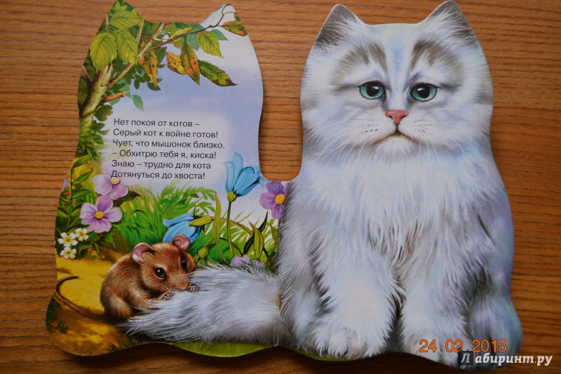 Иллюстрация 9 из 17 для Кошки-мышки - Оксана Иванова | Лабиринт - книги. Источник: Белоус Марина