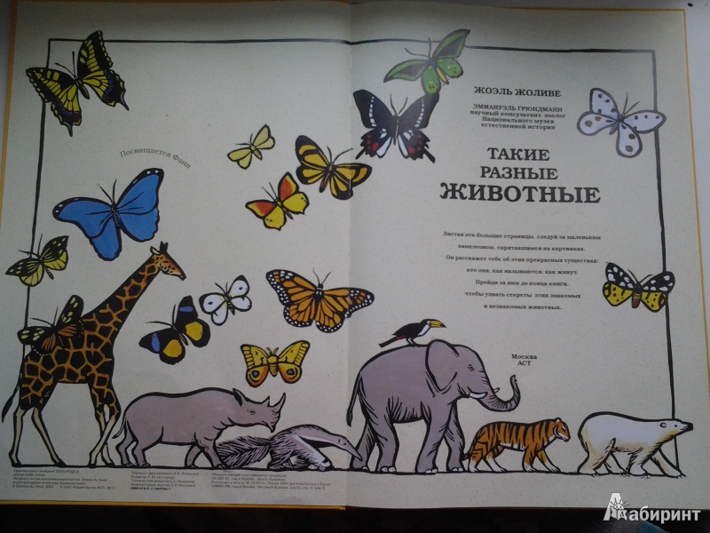 Иллюстрация 3 из 11 для Такие разные животные - Жоэль Жоливе | Лабиринт - книги. Источник: Петрикина  Анастасия