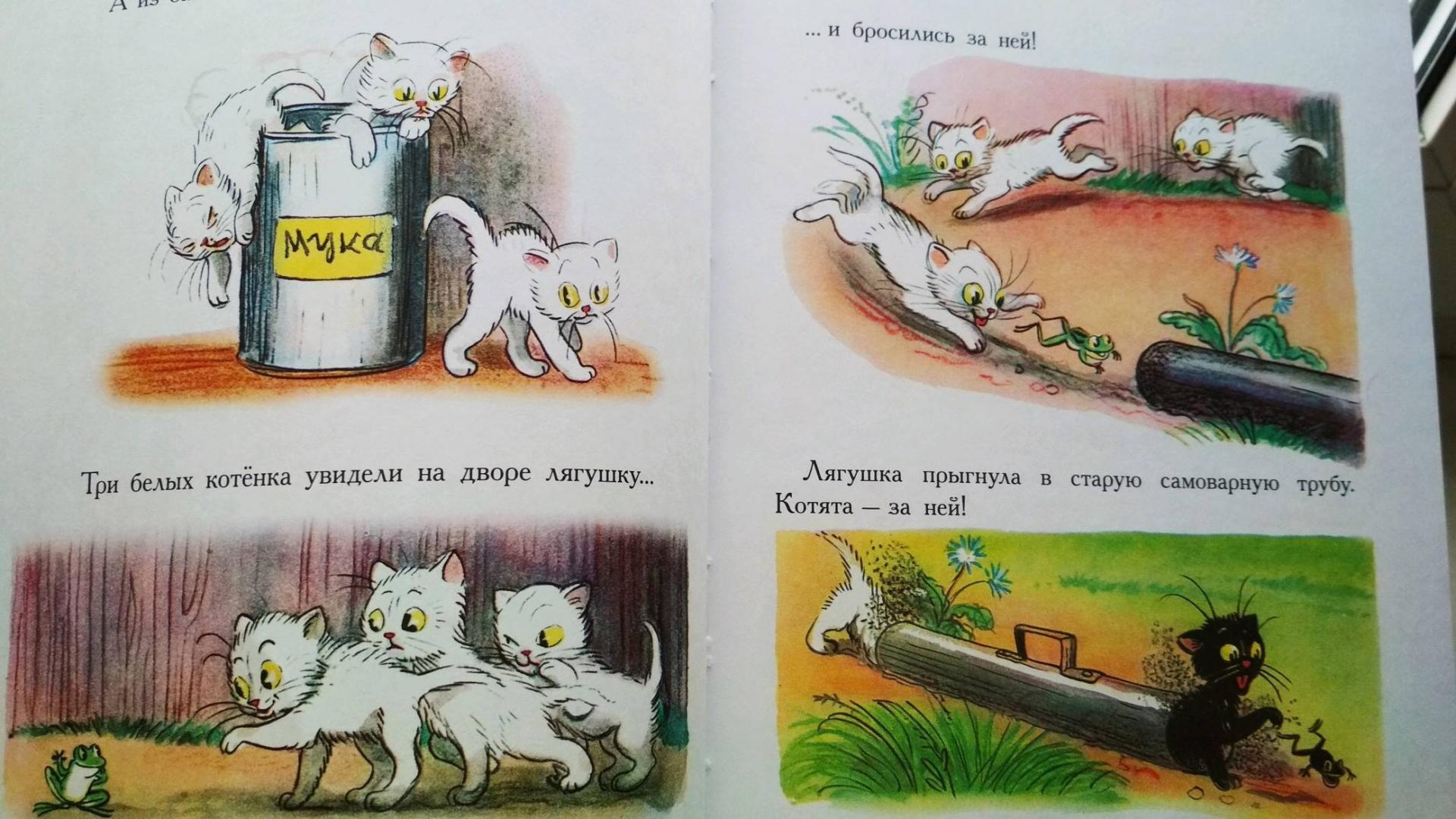 Иллюстрация 32 из 69 для Сказки и картинки - Владимир Сутеев | Лабиринт - книги. Источник: Викуля Я