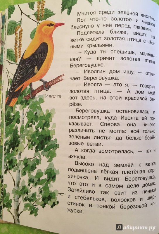 Иллюстрация 22 из 71 для Лесные домишки - Виталий Бианки | Лабиринт - книги. Источник: Алимина  Татьяна