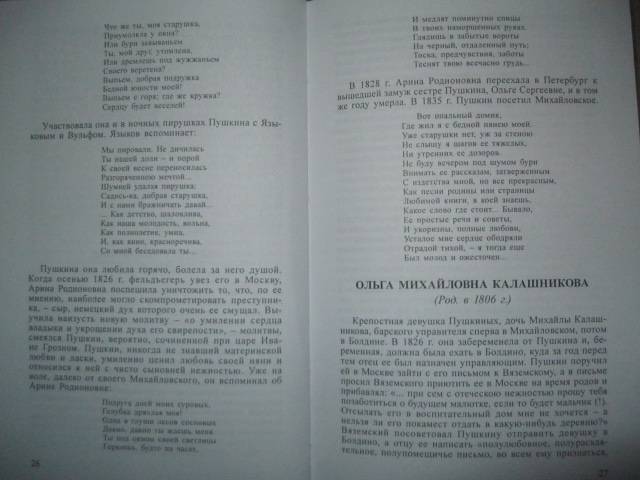 Иллюстрация 36 из 45 для Спутницы Пушкина | Лабиринт - книги. Источник: NINANI