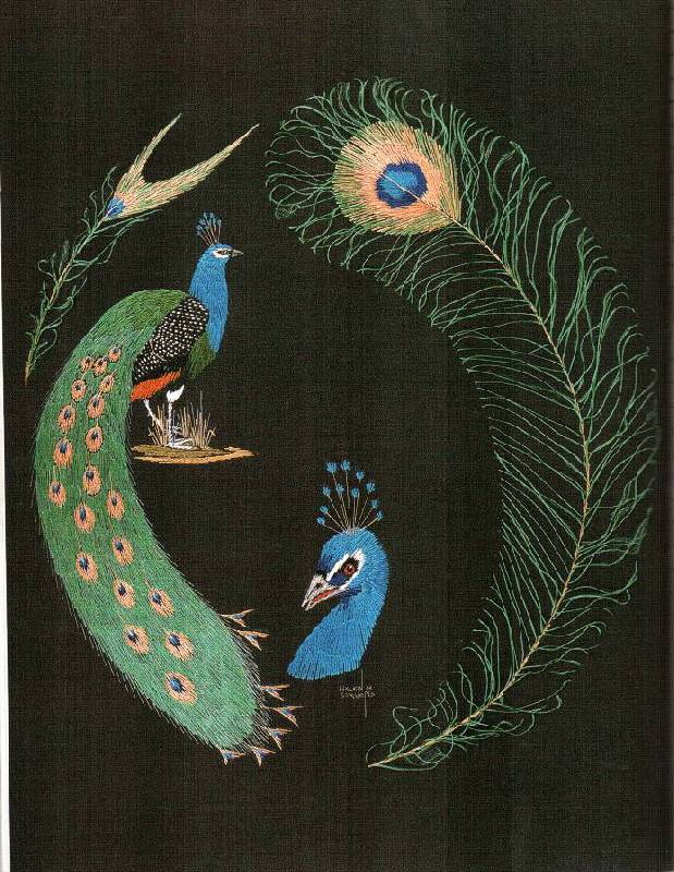 Иллюстрация 32 из 33 для Птицы. Практическое руководство - Хелен Стивенс | Лабиринт - книги. Источник: Юта