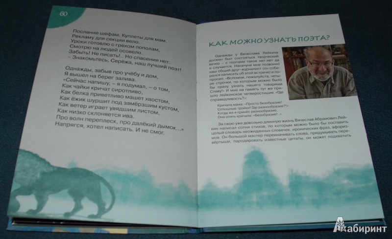 Иллюстрация 40 из 58 для Привет от носорога - Вячеслав Лейкин | Лабиринт - книги. Источник: Книжный кот