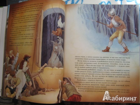 Иллюстрация 23 из 23 для Сказки - Гримм Якоб и Вильгельм | Лабиринт - книги. Источник: Notaben