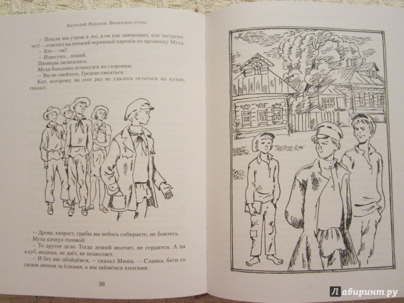 Иллюстрация 34 из 35 для Бронзовая птица - Анатолий Рыбаков | Лабиринт - книги. Источник: ЮлияО