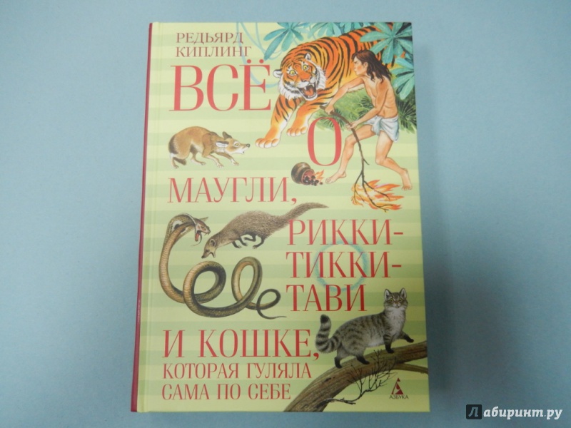 Иллюстрация 4 из 19 для Всё о Маугли, Рикки-Тикки-Тави и Кошке, которая гуляла сама по себе - Редьярд Киплинг | Лабиринт - книги. Источник: dbyyb
