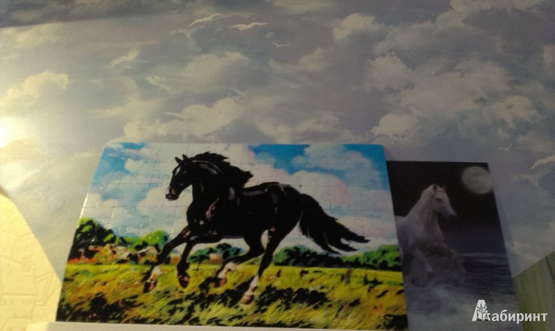 Иллюстрация 2 из 8 для Бархатные пазлы "Вороной конь" (2362) | Лабиринт - игрушки. Источник: Юстус  Виктория