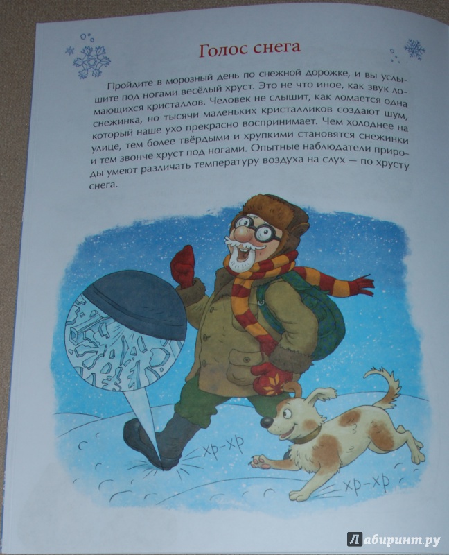 Иллюстрация 28 из 83 для Книжка про снежинки - Ольга Дворнякова | Лабиринт - книги. Источник: Книжный кот