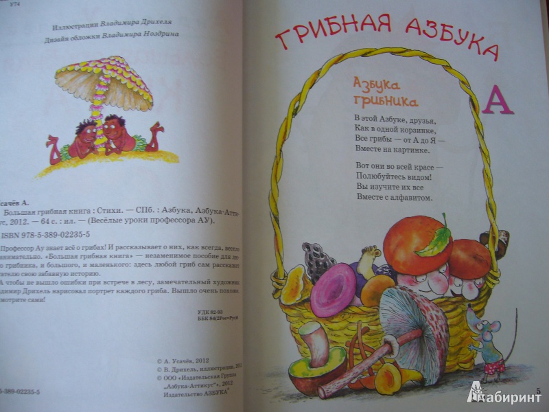 Иллюстрация 20 из 54 для Большая грибная книга - Андрей Усачев | Лабиринт - книги. Источник: Божья  Коровка