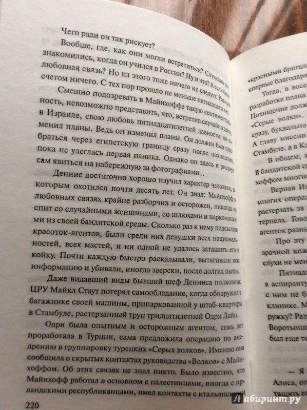 Иллюстрация 12 из 38 для Образ врага - Полина Дашкова | Лабиринт - книги. Источник: Маргарита