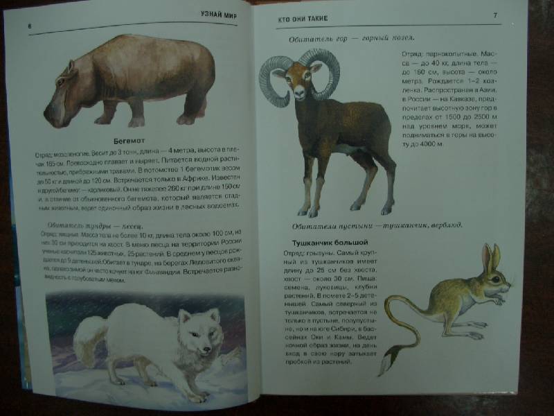 Иллюстрация 7 из 32 для Млекопитающие. Школьный путеводитель - Марк Махлин | Лабиринт - книги. Источник: кареглазка
