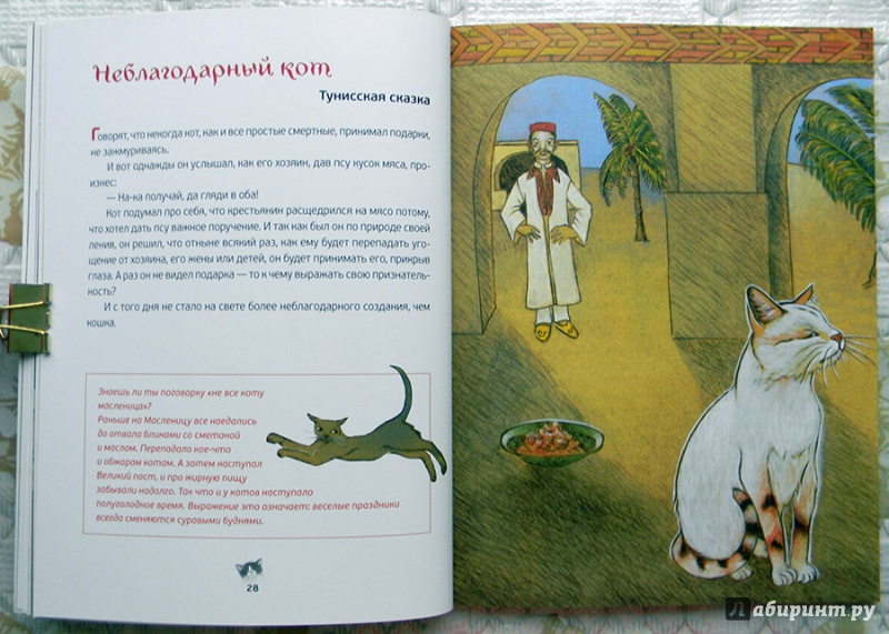 Иллюстрация 58 из 63 для Кошачьи сказки - Анна Строева | Лабиринт - книги. Источник: Раскова  Юлия