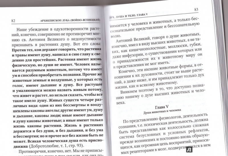 Иллюстрация 5 из 7 для Дух, душа и тело - Лука Архиепископ | Лабиринт - книги. Источник: Соня-А