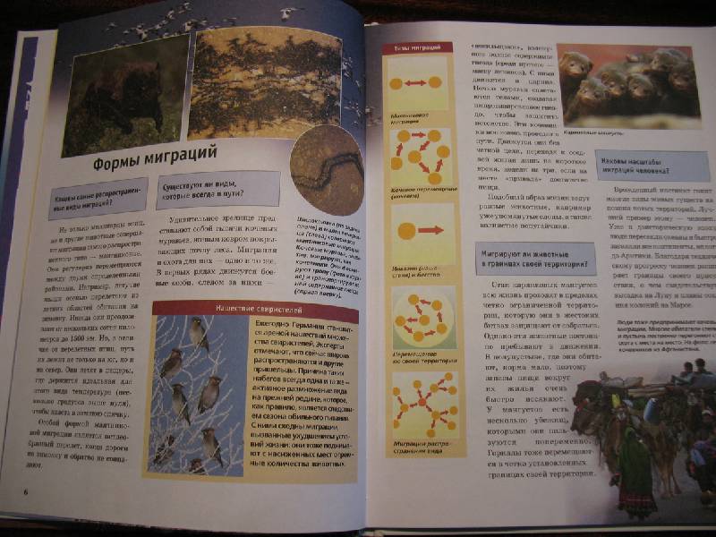Иллюстрация 4 из 12 для Зачем и почему. Миграции животных - Витус Дрешер | Лабиринт - книги. Источник: tayana