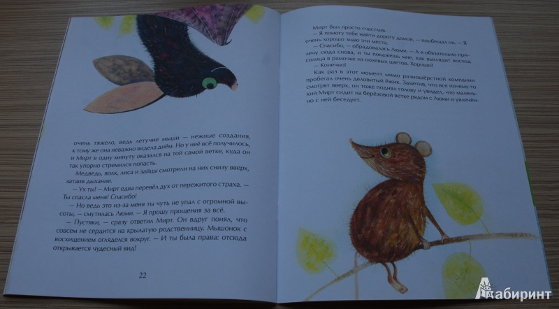 Иллюстрация 14 из 35 для Крылья для друга - Юлия Иванова | Лабиринт - книги. Источник: Книжный кот