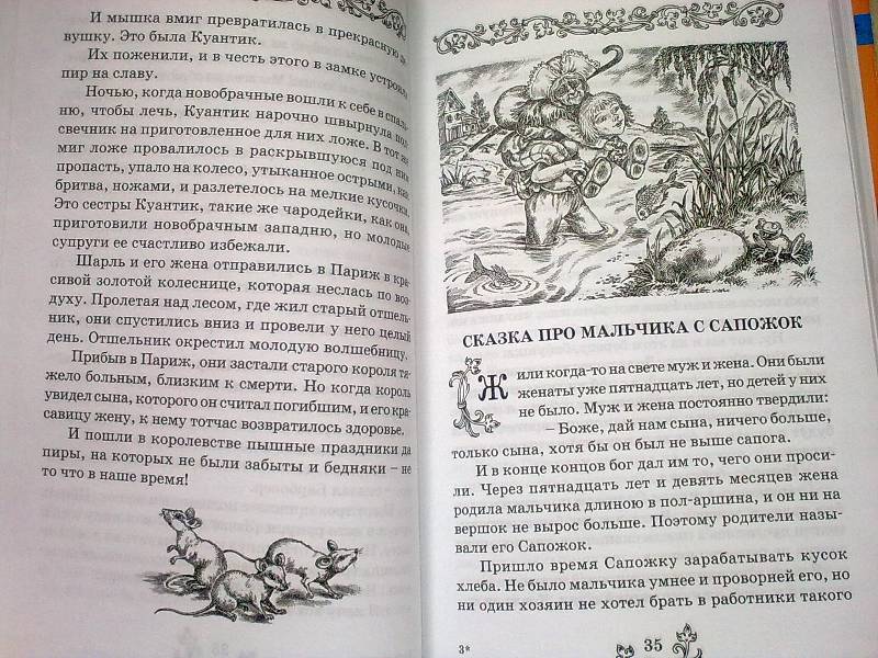 Иллюстрация 17 из 17 для Французские сказки | Лабиринт - книги. Источник: foxi-lisenok