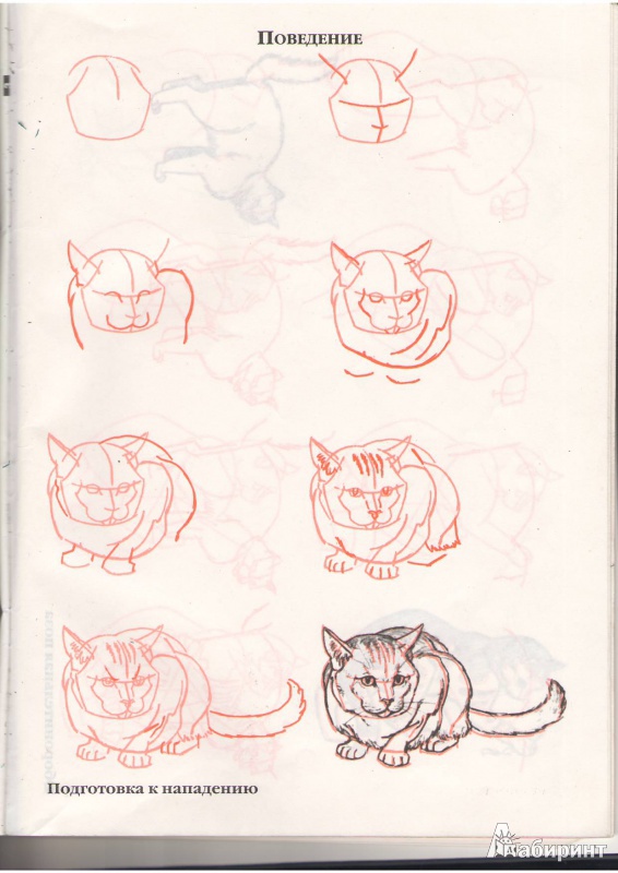 Иллюстрация 7 из 35 для Рисуем 50 кошек - Ли Эймис | Лабиринт - книги. Источник: Tiger.
