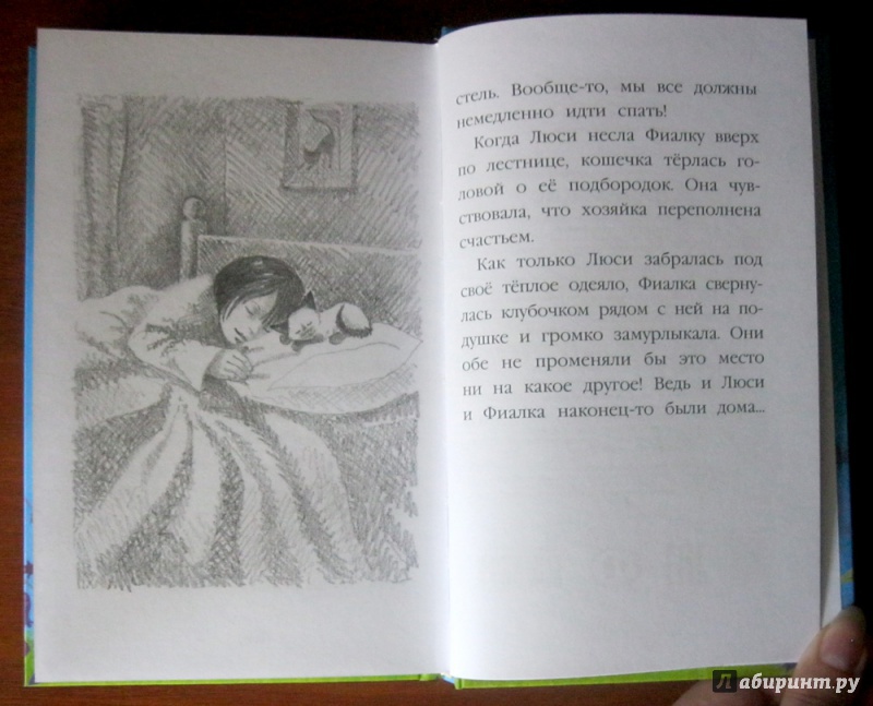 Иллюстрация 30 из 65 для Котёнок Фиалка, или Коробка с сюрпризом - Холли Вебб | Лабиринт - книги. Источник: Климова Светлана