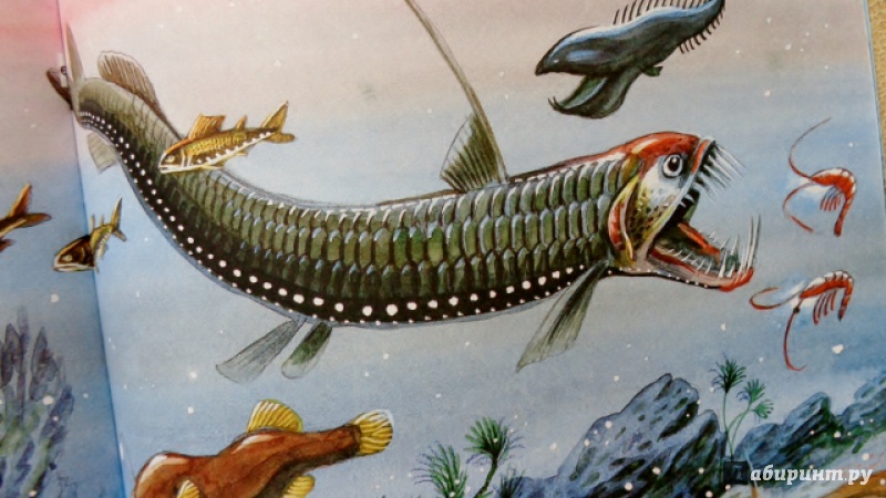 Иллюстрация 35 из 42 для Рыбы - Николай Сладков | Лабиринт - книги. Источник: Матти Суоми