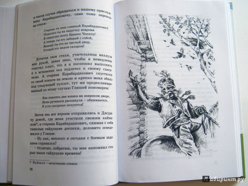 Иллюстрация 20 из 37 для Ноги в поле, голова на воле - Бранко Чопич | Лабиринт - книги. Источник: leontyua