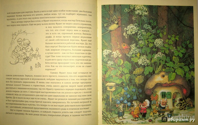 Иллюстрация 51 из 78 для В стране гномов - Эрих Хайнеманн | Лабиринт - книги. Источник: Трухина Ирина