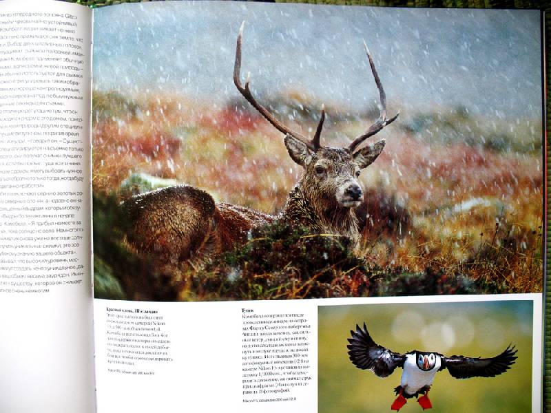 Иллюстрация 9 из 27 для Живая природа. Лучшие фотографы мира и их истории, оставшиеся за кадром - Терри Хоуп | Лабиринт - книги. Источник: Angostura