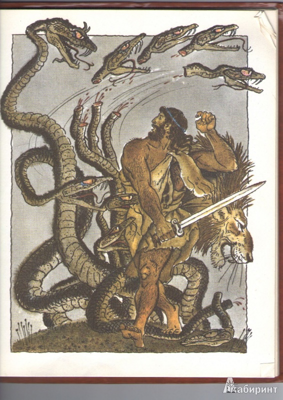 Иллюстрация 14 из 28 для Двенадцать подвигов Геракла | Лабиринт - книги. Источник: Дорогова  Александра Константиновна