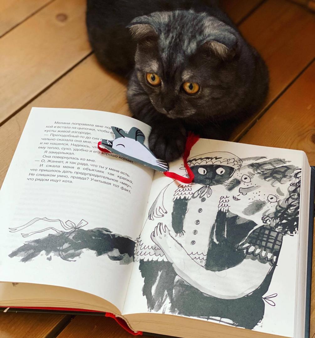 Иллюстрация 35 из 37 для Дневник кота-убийцы. Все истории - Энн Файн | Лабиринт - книги. Источник: Морозова  Катюшка