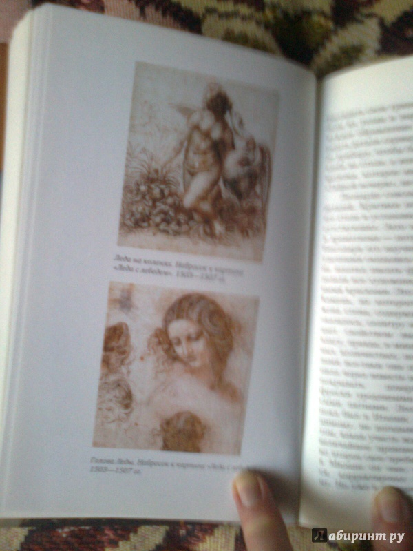 Иллюстрация 41 из 51 для Леонардо да Винчи - Алексей Дживелегов | Лабиринт - книги. Источник: Olga V