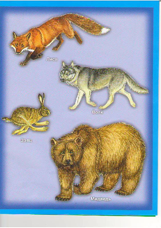 Иллюстрация 7 из 12 для Атлас мира для малышей. С наклейками. Животные - Л. Образцова | Лабиринт - книги. Источник: Tiger.
