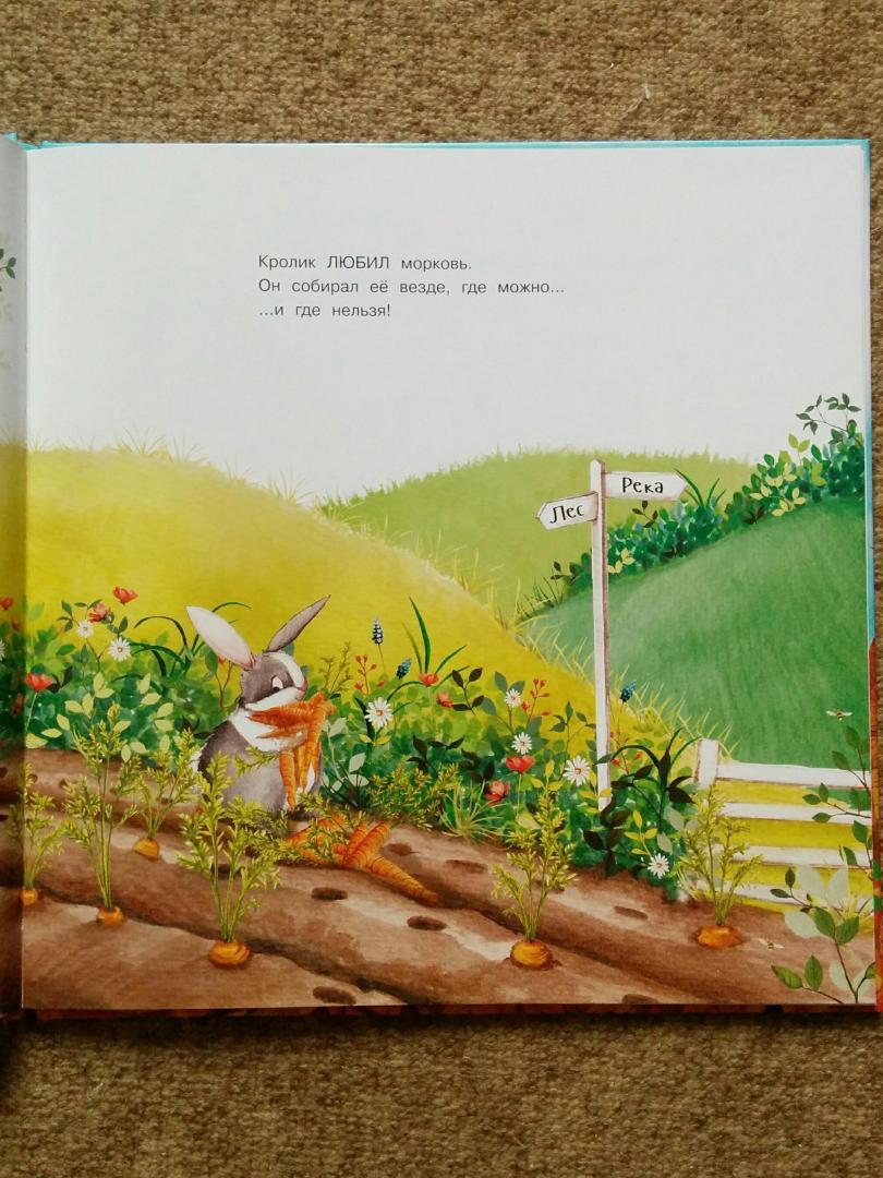 Иллюстрация 28 из 49 для Слишком много моркови - Кэти Хадсон | Лабиринт - книги. Источник: Natalie Leigh