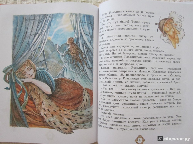 Иллюстрация 41 из 43 для Принцесса из Апельсина | Лабиринт - книги. Источник: ЮлияО