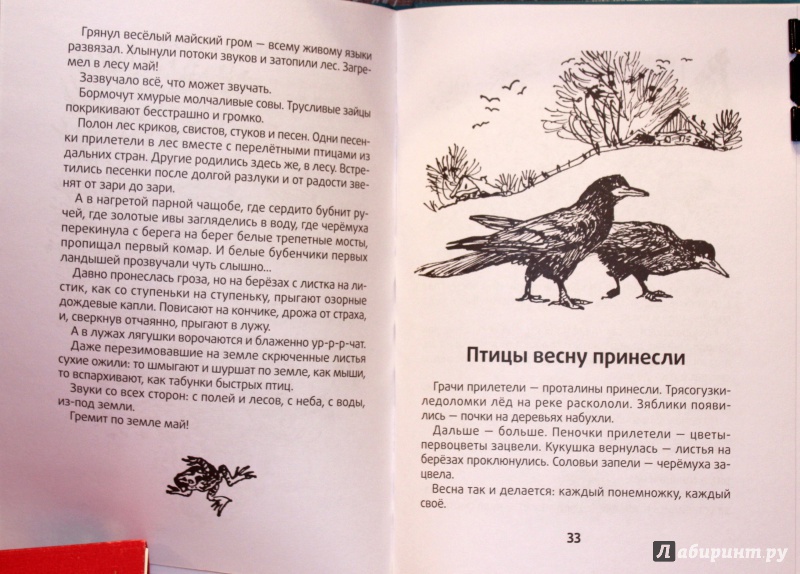 Иллюстрация 5 из 51 для Весенние радости - Николай Сладков | Лабиринт - книги. Источник: E.B.
