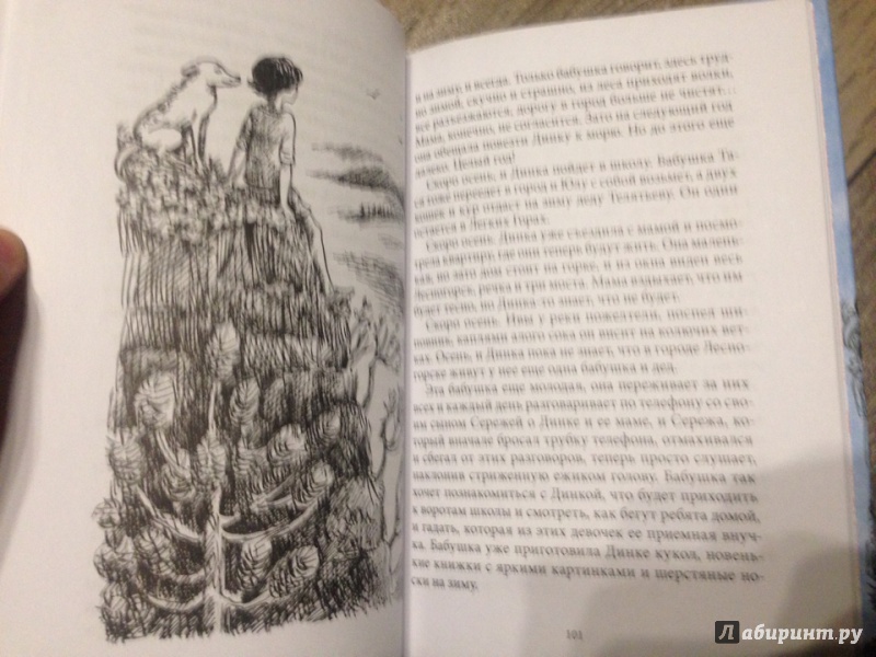 Иллюстрация 51 из 73 для Легкие горы - Тамара Михеева | Лабиринт - книги. Источник: Светлана