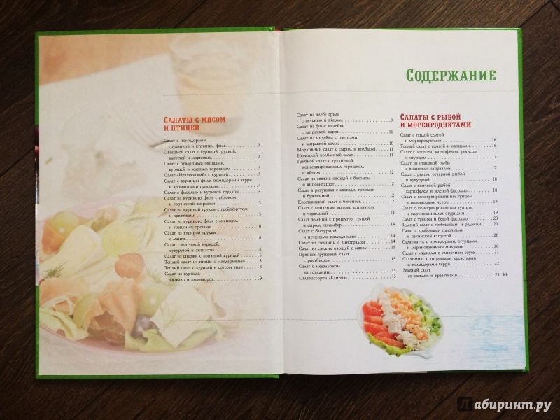 Иллюстрация 8 из 16 для 100 лучших рецептов салатов на каждый день | Лабиринт - книги. Источник: Lr