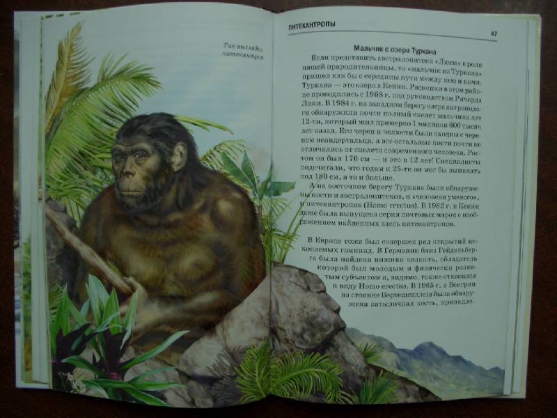 Иллюстрация 5 из 50 для Происхождение человека - Ирина Рябинина | Лабиринт - книги. Источник: кареглазка