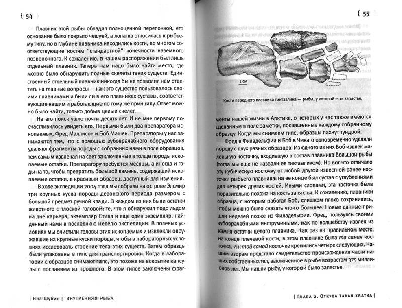 Иллюстрация 23 из 27 для Внутренняя рыба: История человеческого тела с древнейших времен до наших дней - Нил Шубин | Лабиринт - книги. Источник: OOlga