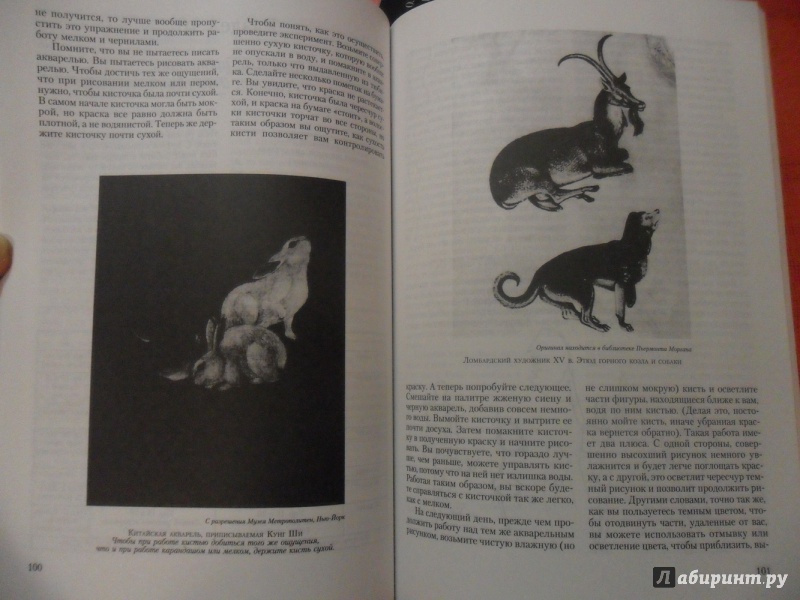 Иллюстрация 7 из 22 для Новый учебник по рисованию - Кимон Николаидис | Лабиринт - книги. Источник: sleits