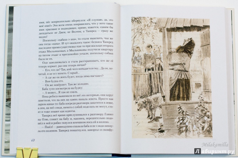 Иллюстрация 69 из 86 для Оля - Федор Кнорре | Лабиринт - книги. Источник: Букландия