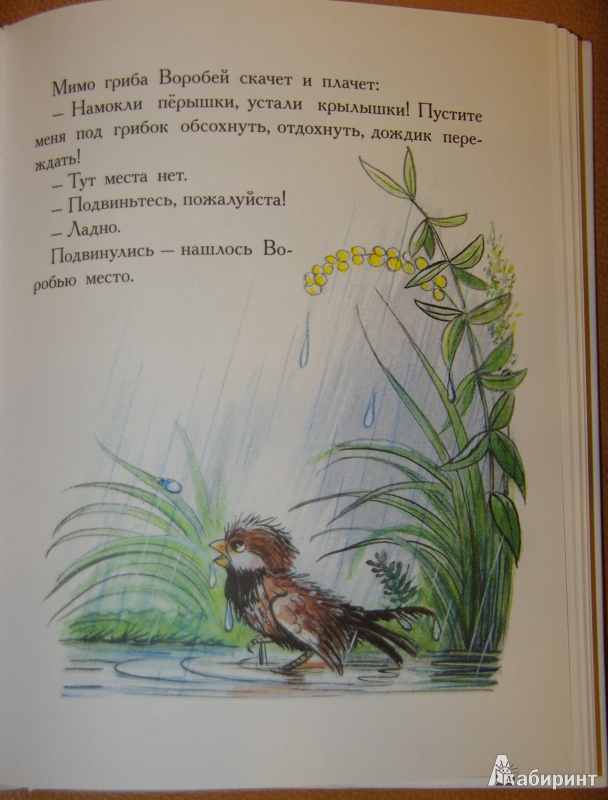 Иллюстрация 3 из 69 для Сказки и картинки - Владимир Сутеев | Лабиринт - книги. Источник: Julle