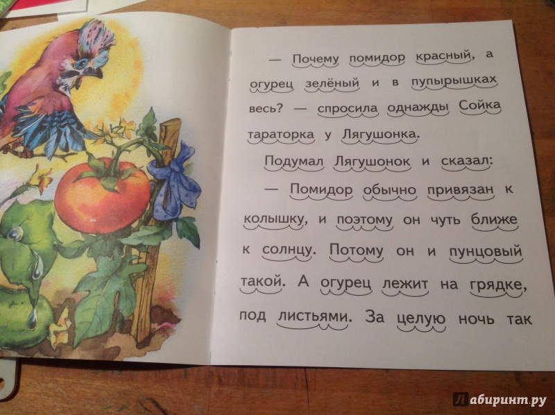 Иллюстрация 2 из 5 для Сойка и лягушонок - Николай Красильников | Лабиринт - книги. Источник: Буторина  Маргарита