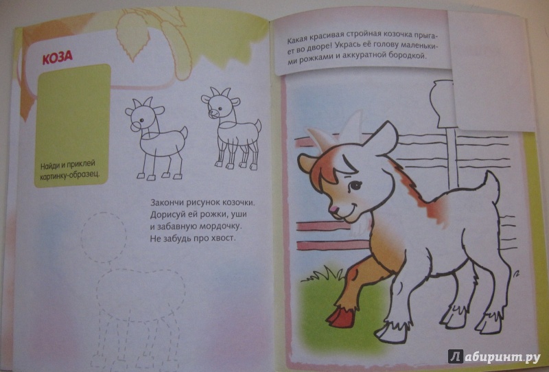 Иллюстрация 13 из 29 для Домашние животные. Дорисуй и раскрась | Лабиринт - книги. Источник: Чернова  Анастасия Юрьевна