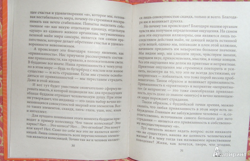 Иллюстрация 5 из 16 для Буддизм - Анна Корниенко | Лабиринт - книги. Источник: Gamlet