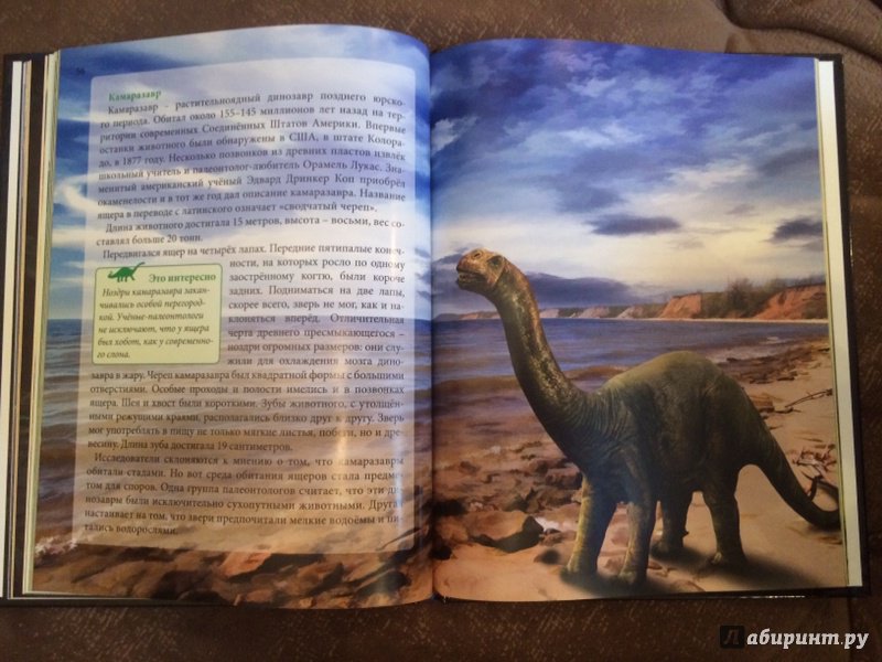 Иллюстрация 31 из 36 для Динозавры - Ирина Астапенко | Лабиринт - книги. Источник: Лабиринт